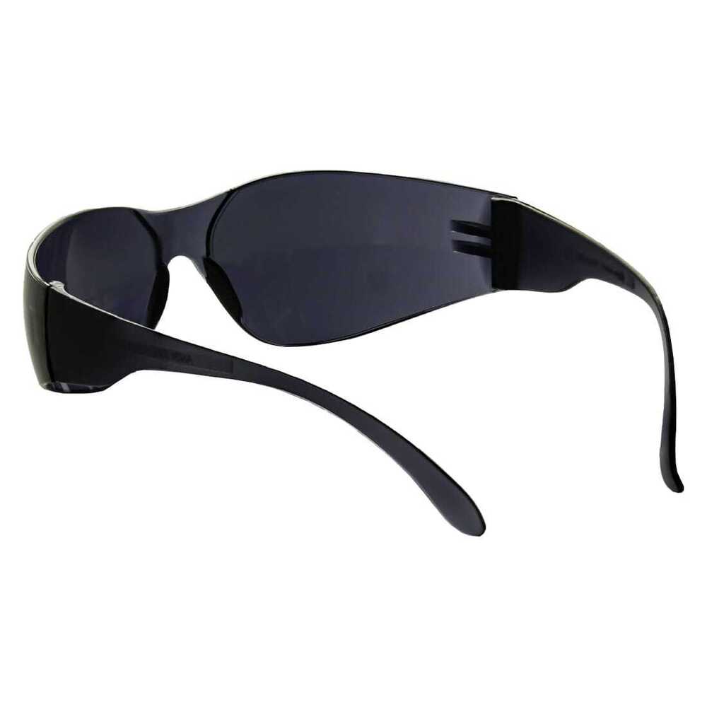 Venus E102 GHCAF Safety Goggles