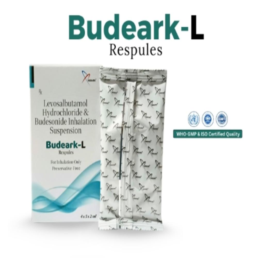 Levosalbutamol 1.25mg Hydrochloride & Budesonide 0.5mg Inhalation Suspention - Drug Type: General Medicines