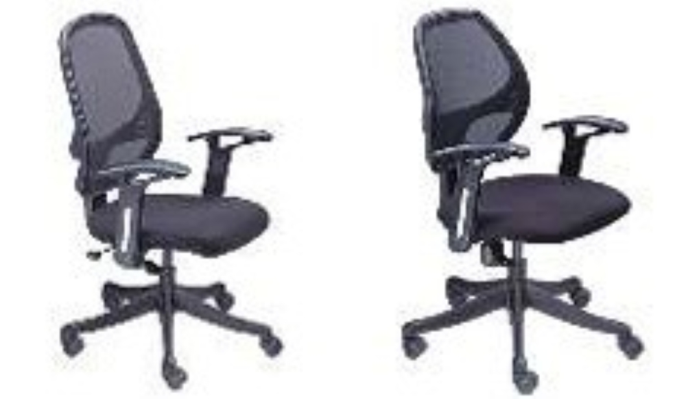 Maxxxworth Low Back Chair - Warranty: 1