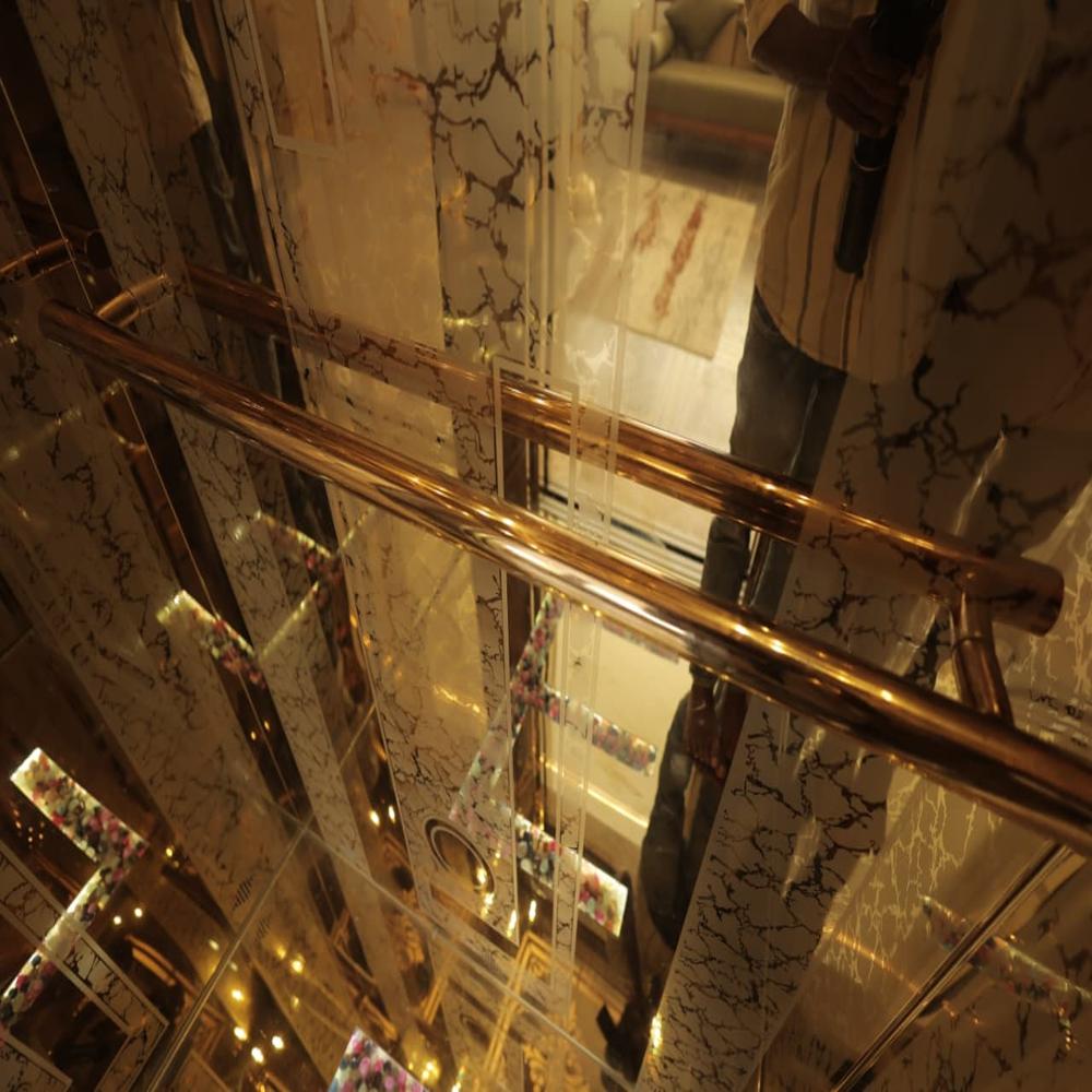 Luxury Home Elevators - Capacity: 408 Kg