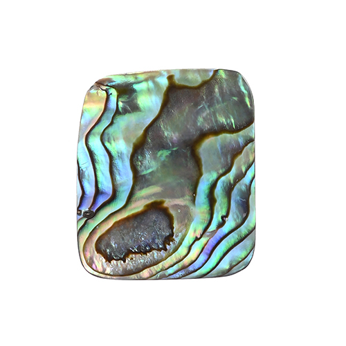 Abalone Shell Mother of Pearl