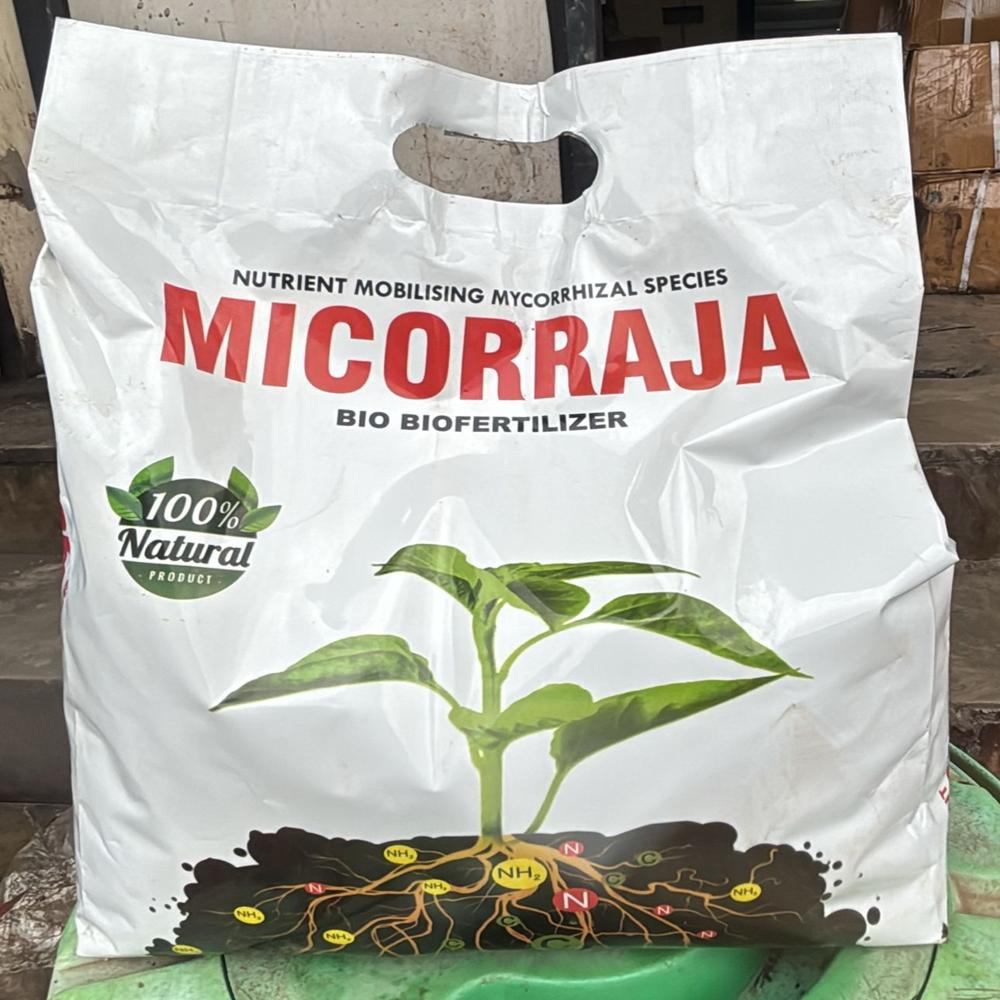 Micorraja - Mycorrhizal 6000 IP (4 kg)