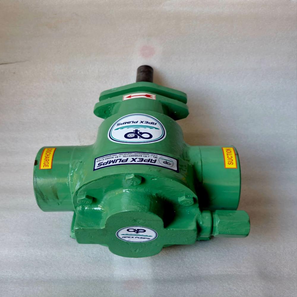 Double Helical Ss Rotary Gear Pump