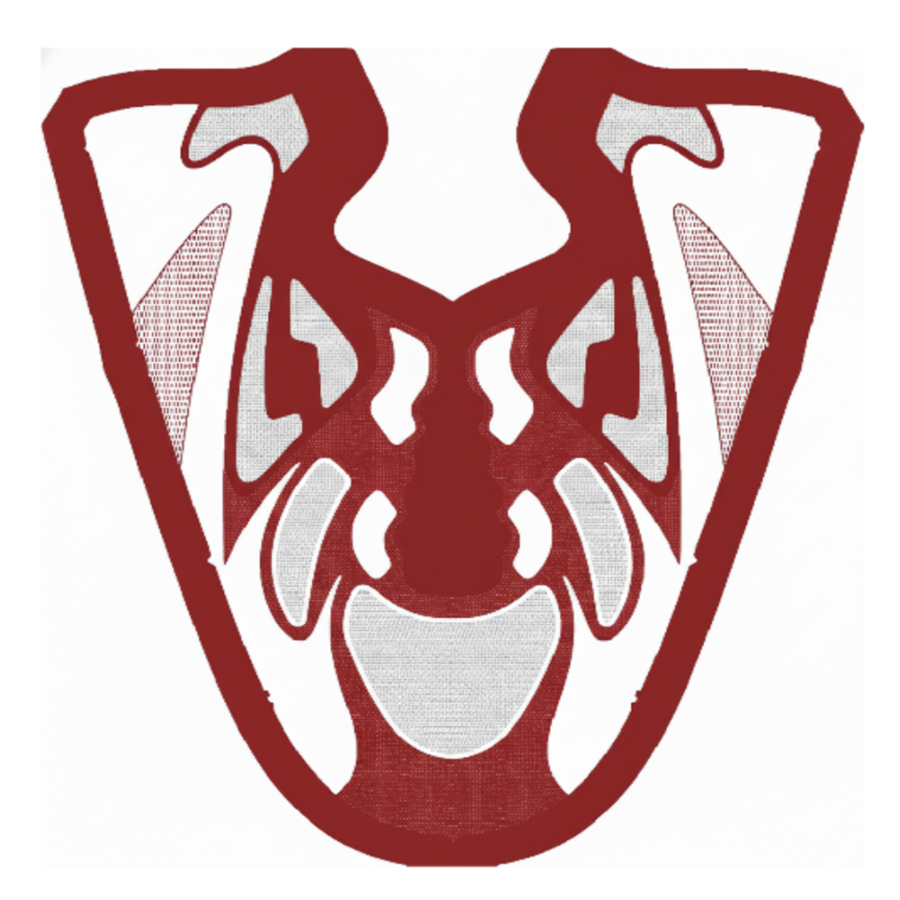 Footwear Graphics Design Service for Shoe