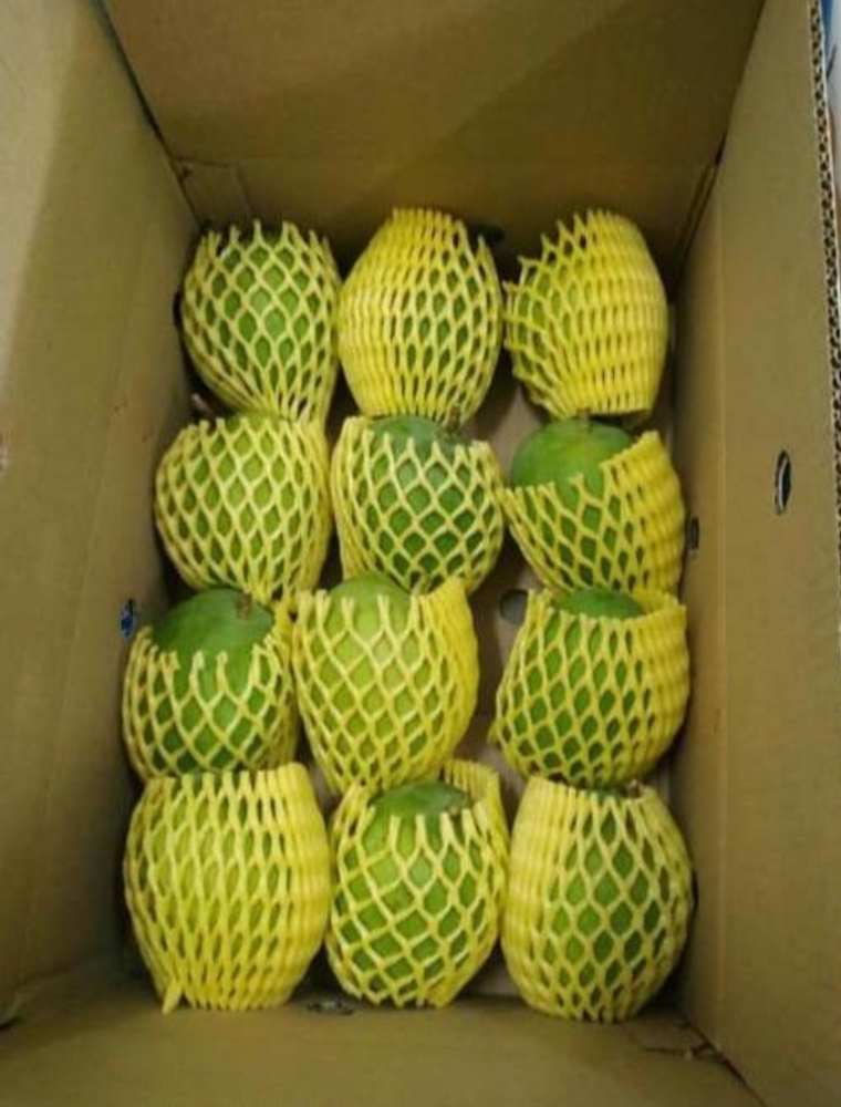 Kesar Mango - Cultivation Type: Organic