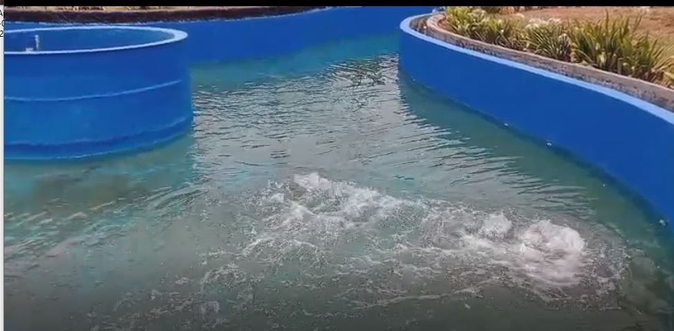 Lazy River Mechanism