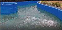 Lazy River Mechanism
