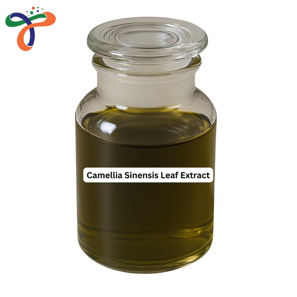 Camellia Sinensis Leaf Extract