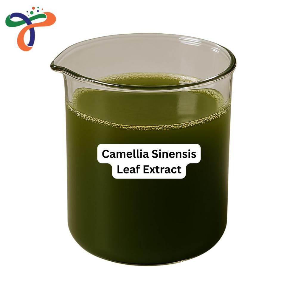 Camellia Sinensis Leaf Extract