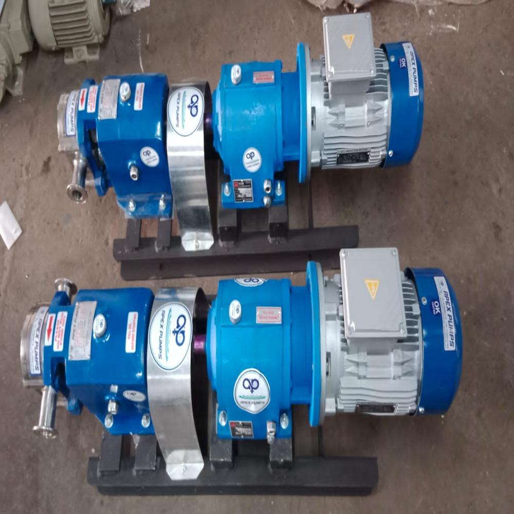 Ss Lobe Pumps