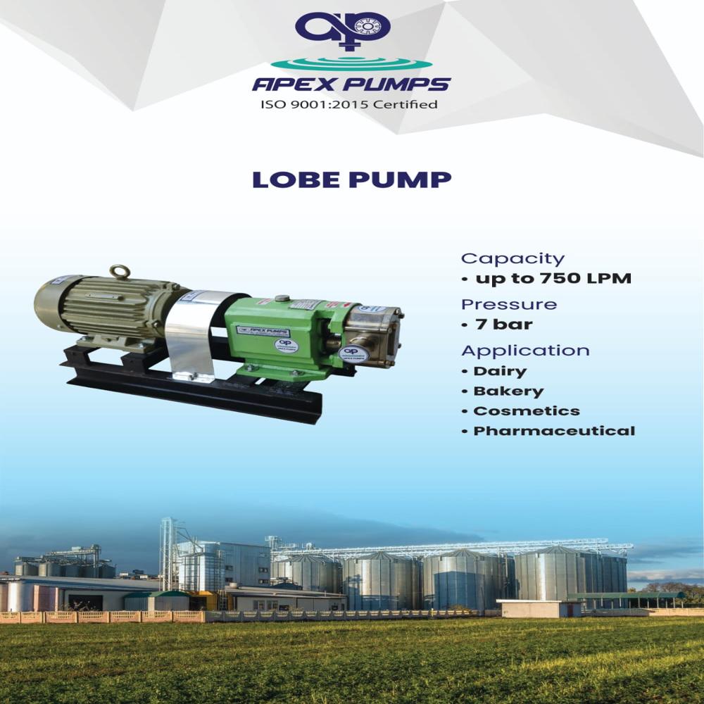 Ss Lobe Pumps