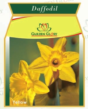 फूल के बल्ब - डैफोडिल