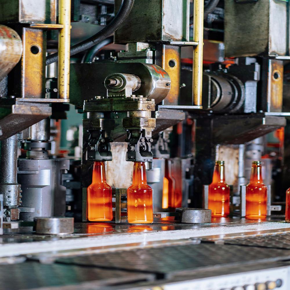 Vision Inspection and Plant Automation