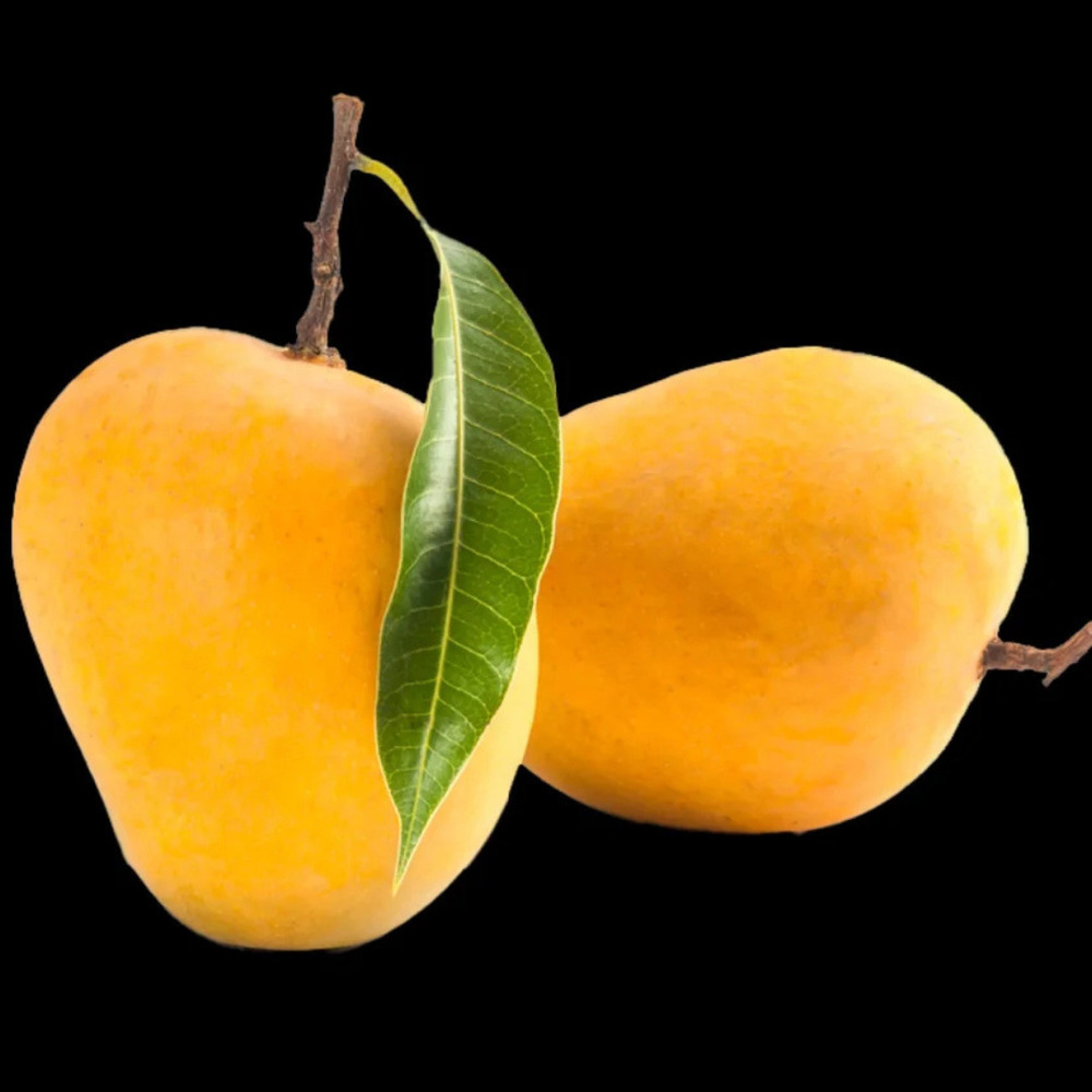 Organic Mango