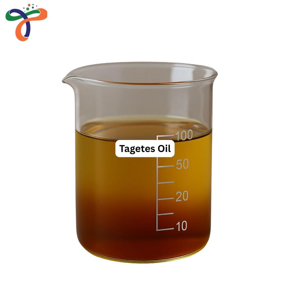 Tagetes Oil (Tagetes Essential Oil)