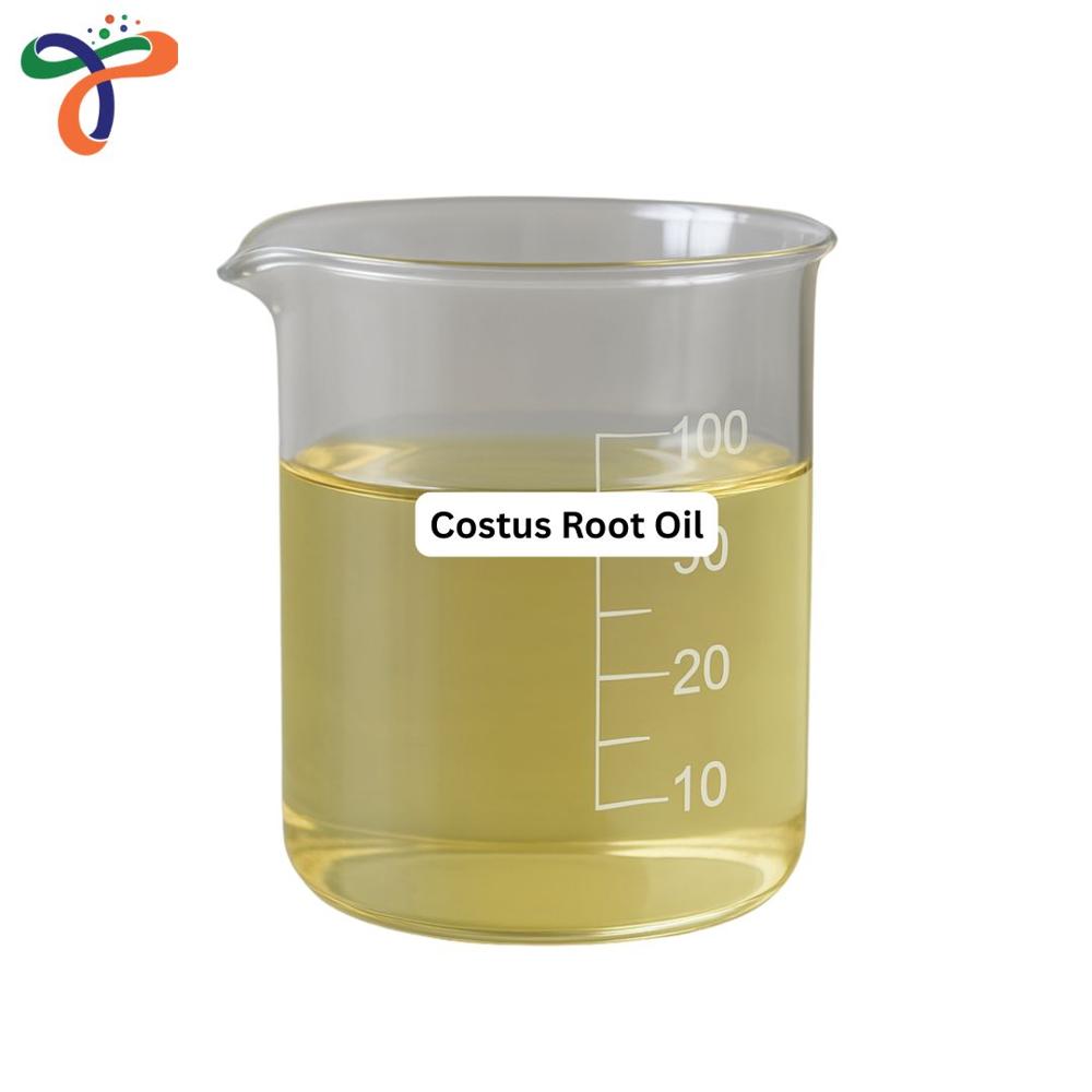 Costus Root Oil