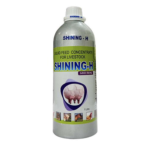 Shining-H Super Strong Liquid Feed Concentrate