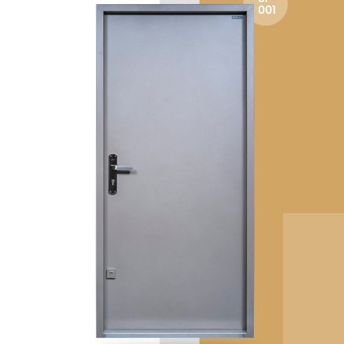 Steel Flush Door