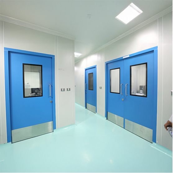 steel Clean Room Door
