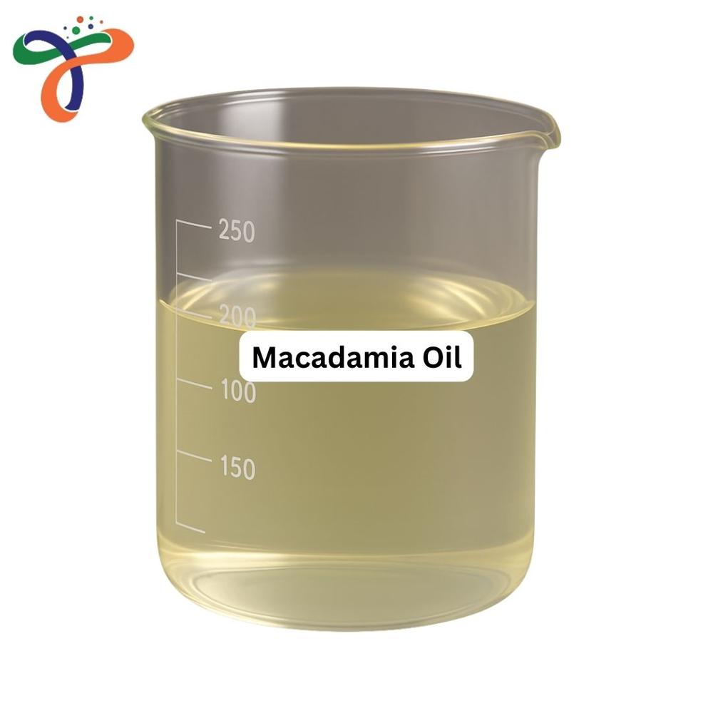 Macadamia Oil (438545-25-6)