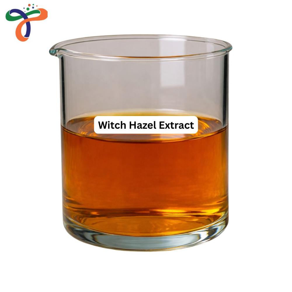Witch Hazel Extract