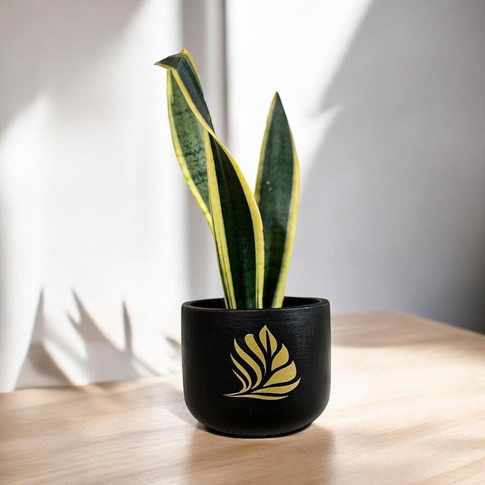 Table Planter
