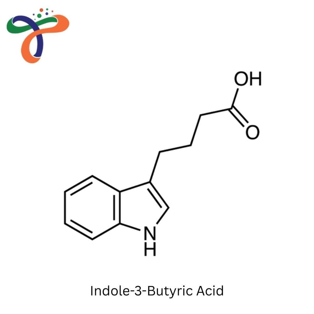 Indole-3-Butyric Acid (133-32-4)