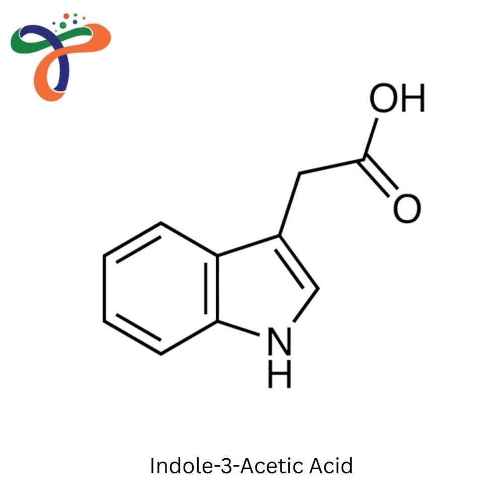 Indole-3-Acetic Acid (87-51-4)