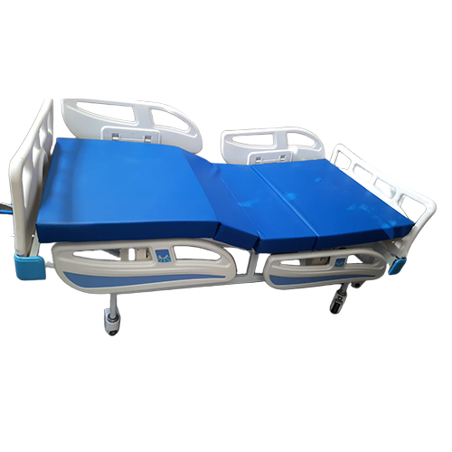 Normal Electric Bed