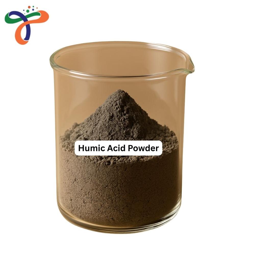 Humic Acid Powder