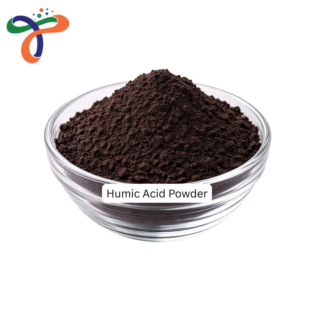 Humic Acid Powder