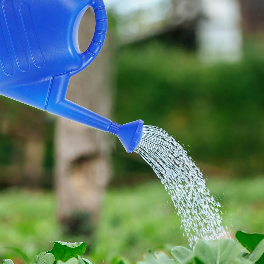 10L Plastic Garden Watering Can