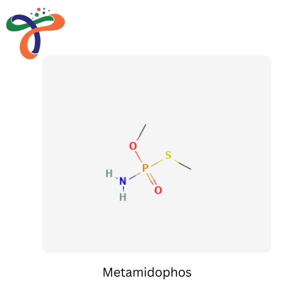 Metamidophos (10265-92-6) (C2H8NO2PS)