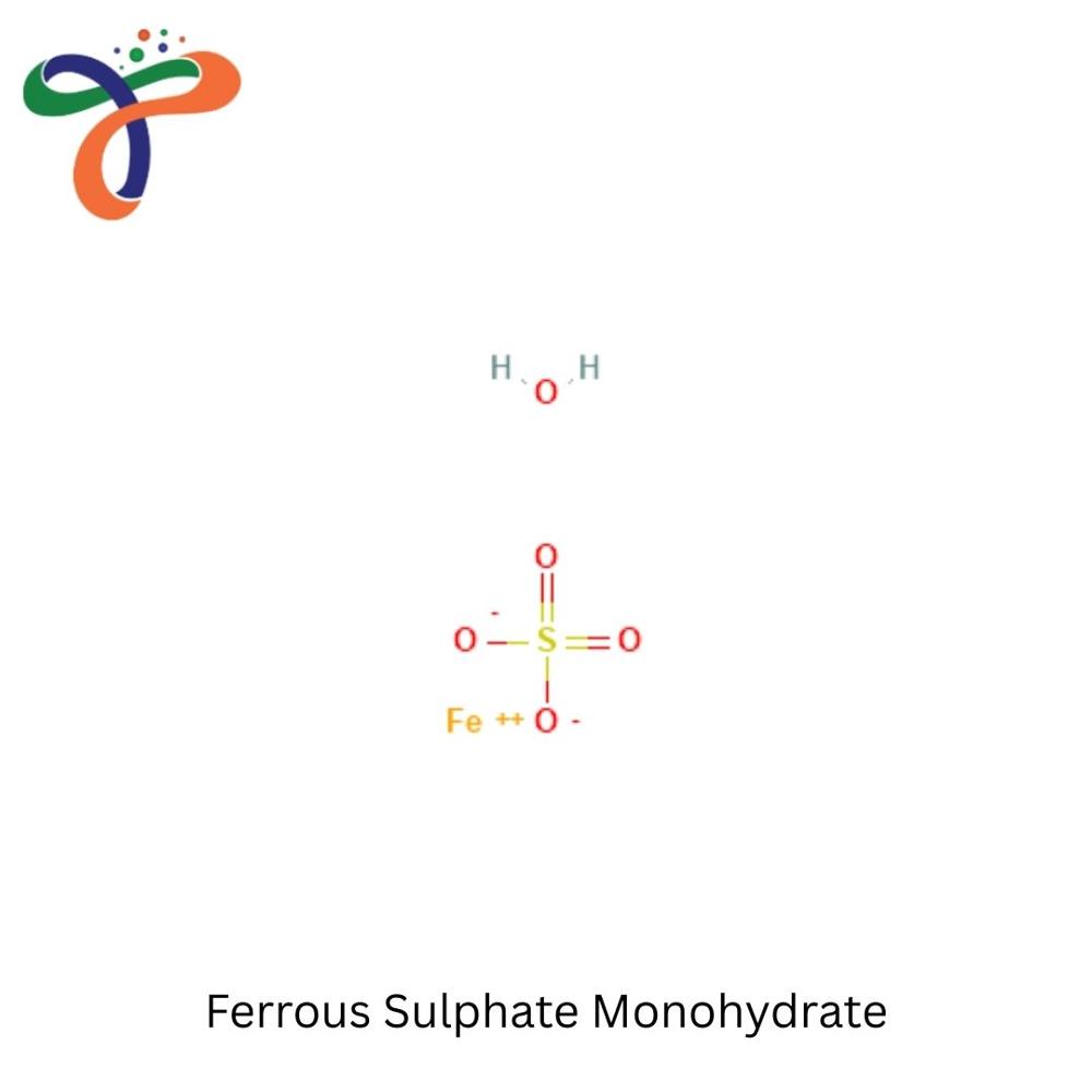 Ferrous Sulphate Monohydrate