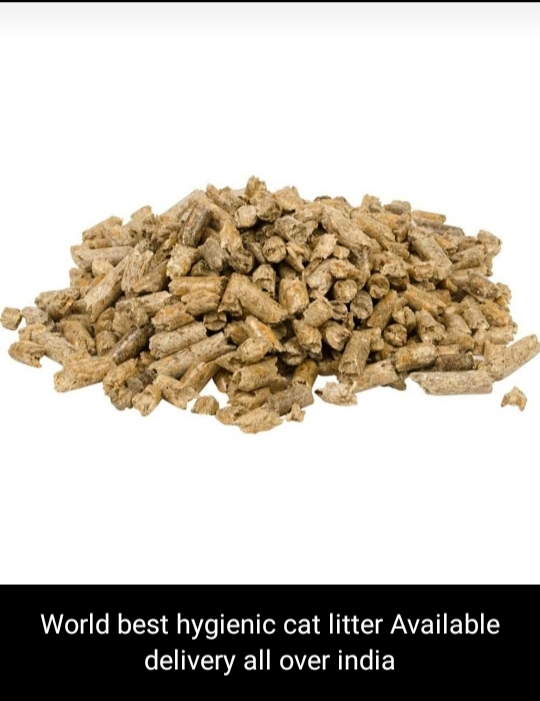 Premium Biomass Wood Pellet