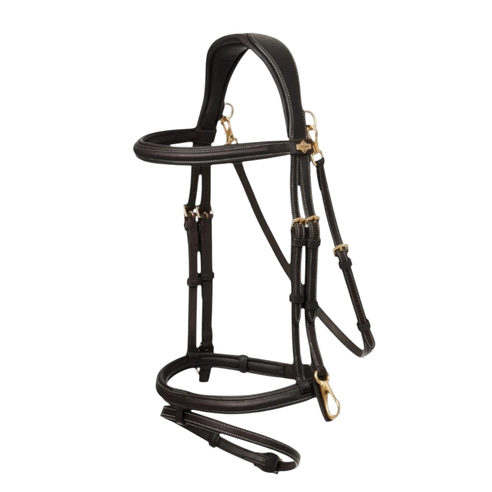 Leather Bridle
