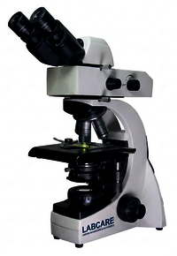 Fluorescent Microscope Afm-50