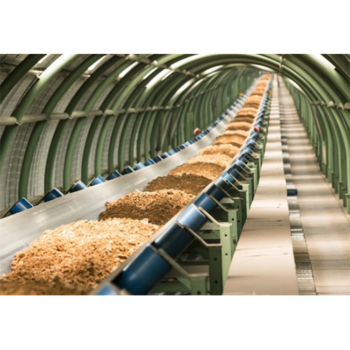 Sugar Plants
