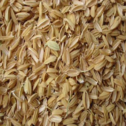 Fuel Feeding System