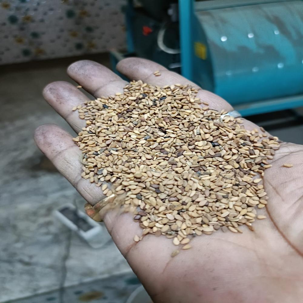 Seesame Seeds - Color: Brown