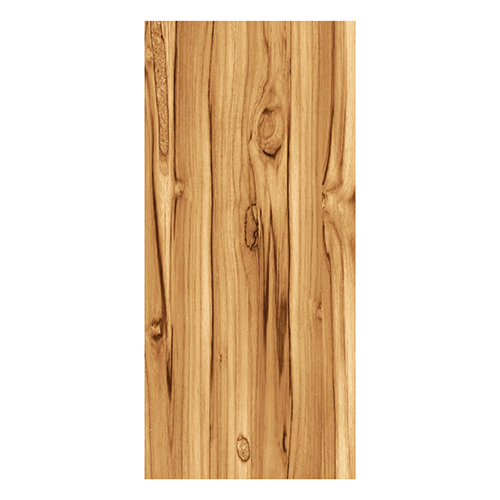 M6 Modern Minimalist Digital Design Door