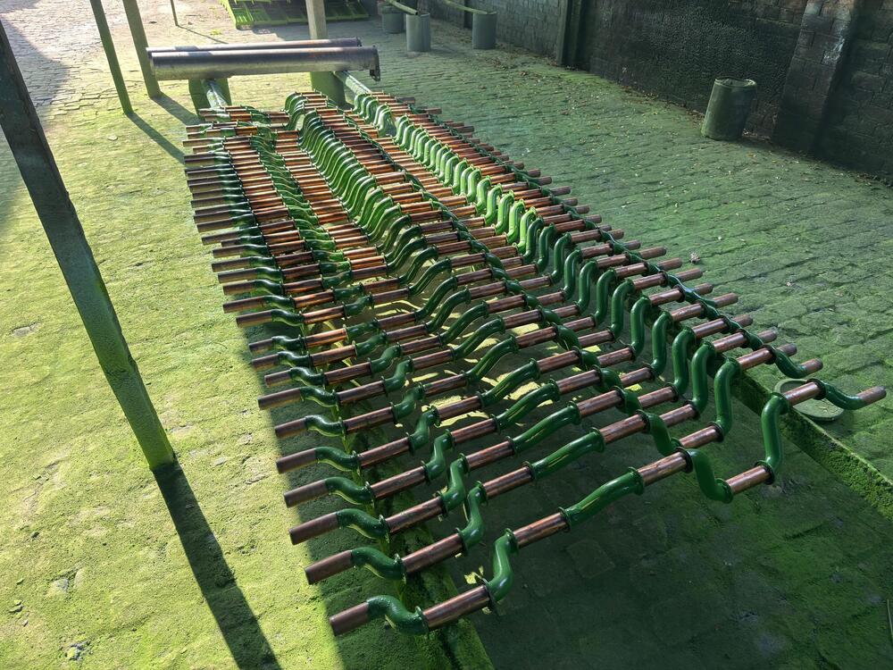 Engine Crankshaft