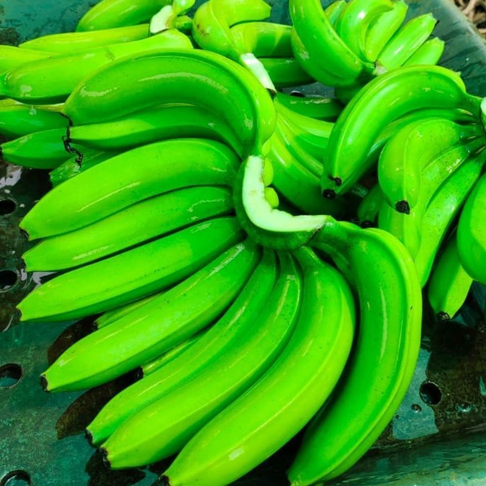 Fresh Banana