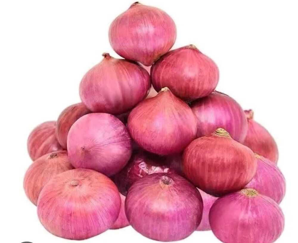 Fresh Onions