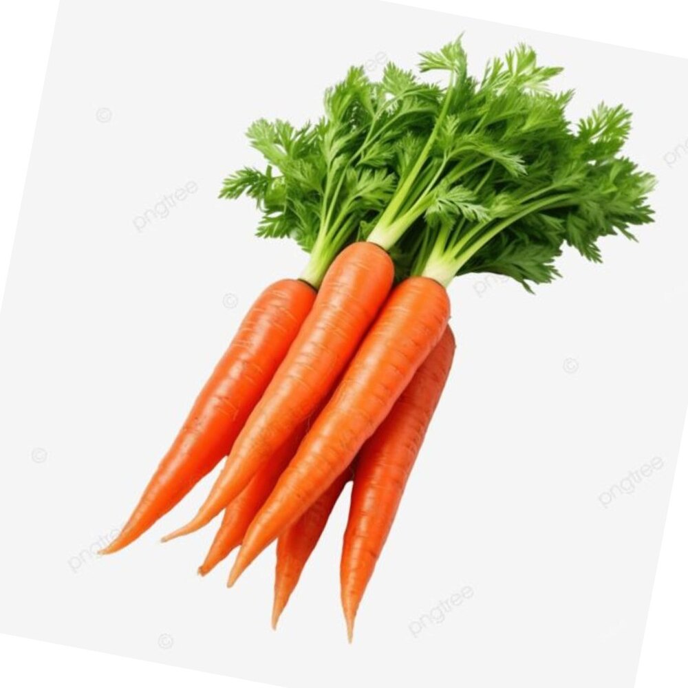 Fresh Carrot