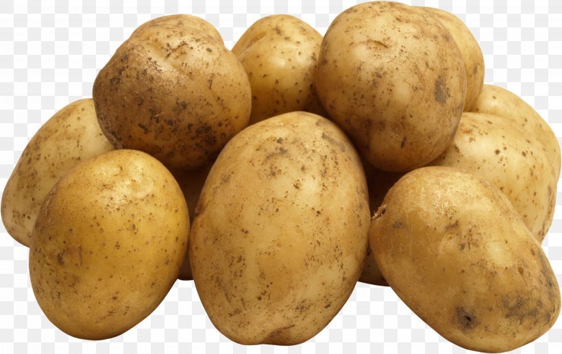 Fresh Potato