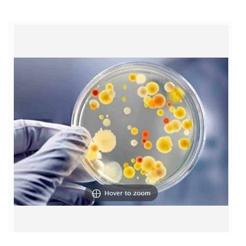 Easy Compost Microbial Culture