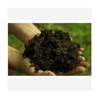 Solid Waste Composting Culture