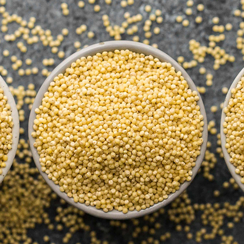 Sorghum Grain - Admixture (%): 1% Max