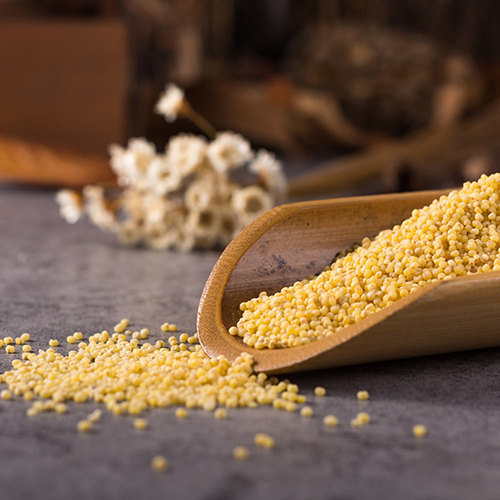 Barnyand Whole Grain - Admixture (%): Max 1%